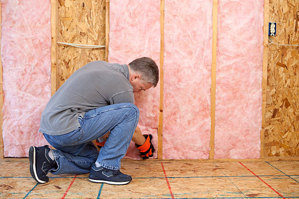 Best Cellulose Insulation in Olivet, MI